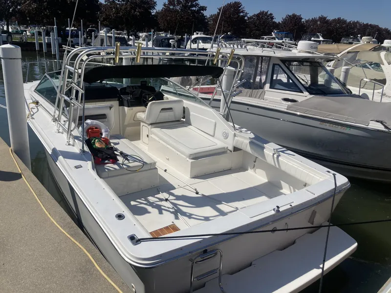 Slide: The Image of Sea Ray AMBERJACK 1992 - 8