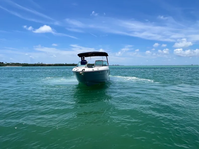 Slide: The Image of Sea Ray SLX 280 Outboard 2026 - 8