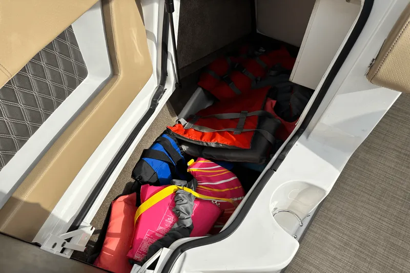 Slide: The Image of Sea Ray 250 SLX 2019 - 20