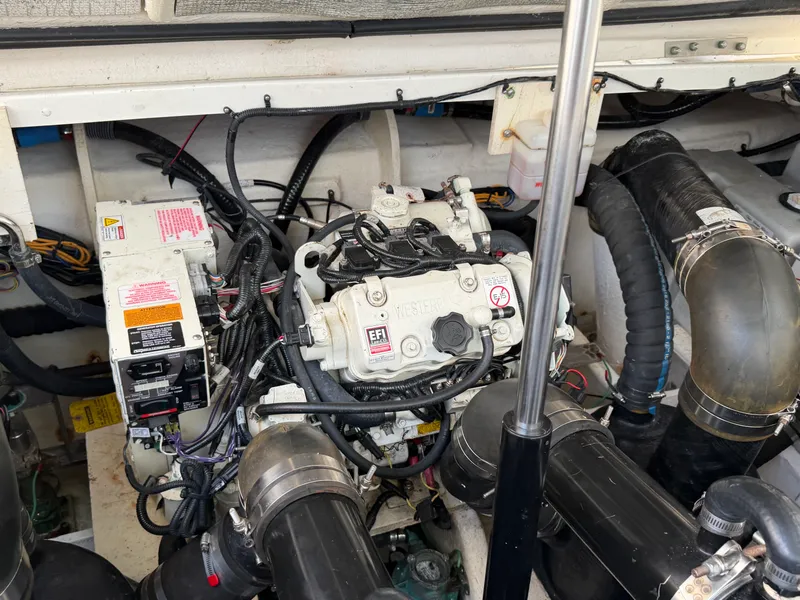 Slide: The Image of Sea Ray Sundancer 350 Coupe 2019 - 41