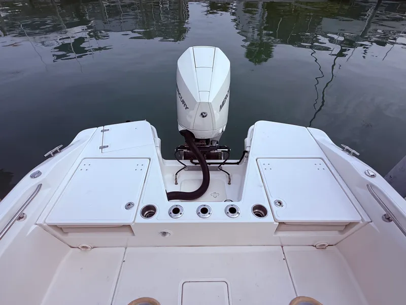 Slide: The Image of Boston Whaler 22 DAUNTLESS 2024 - 22
