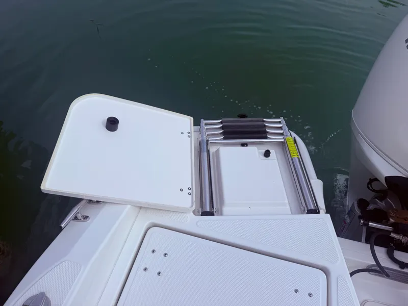 Slide: The Image of Boston Whaler 22 DAUNTLESS 2024 - 28
