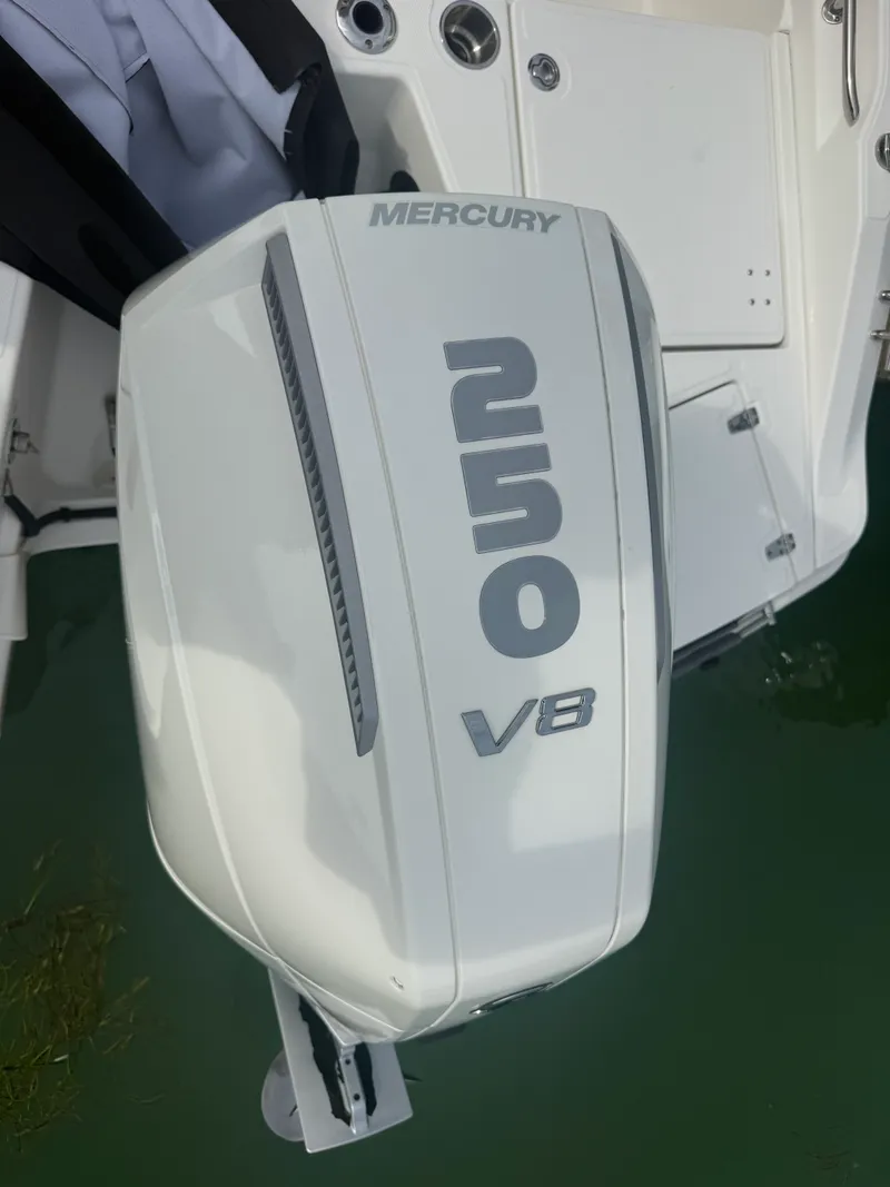 Slide: The Image of Boston Whaler 22 DAUNTLESS 2024 - 51
