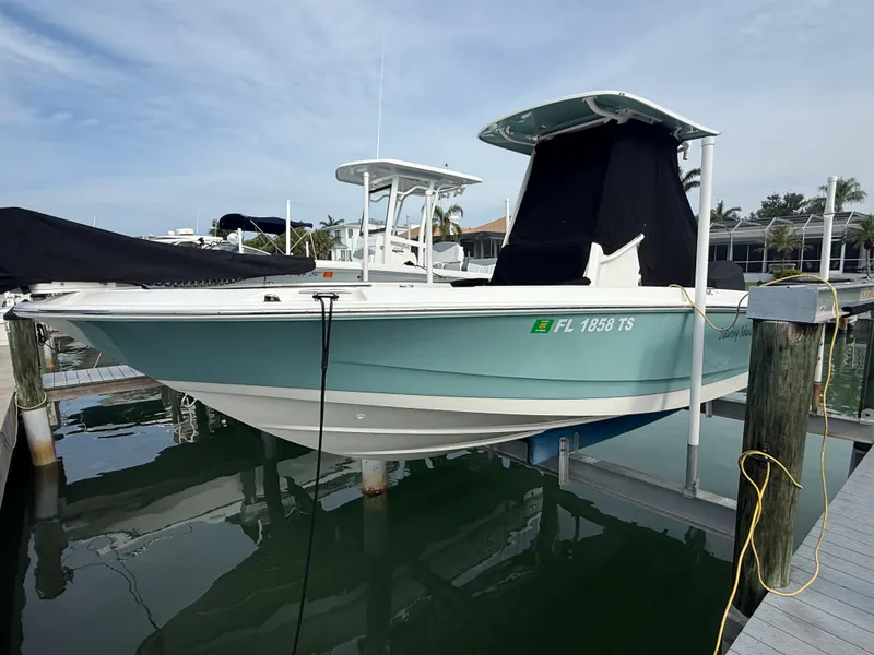 The Image of Boston Whaler DAUNTLESS 2024 - 1