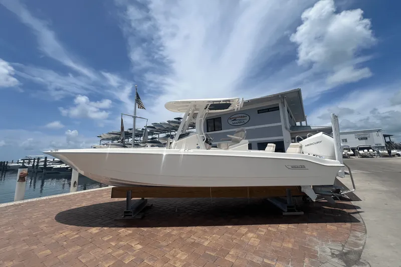 Slide: The Image of Boston Whaler 250 Dauntless 2025 - 0