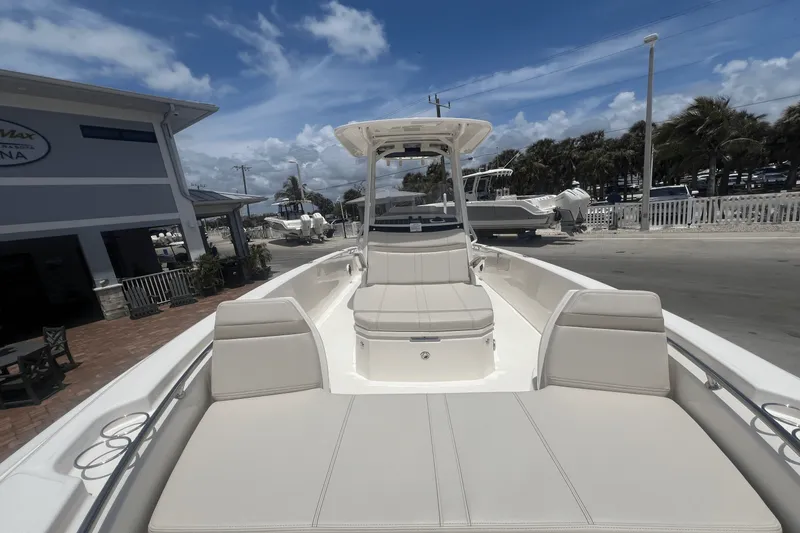 Slide: The Image of Boston Whaler 250 Dauntless 2025 - 10
