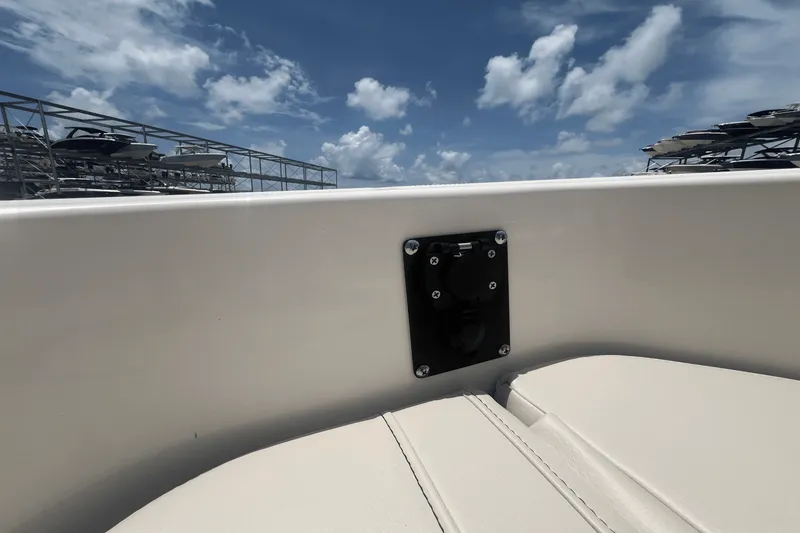 Slide: The Image of Boston Whaler 250 Dauntless 2025 - 12