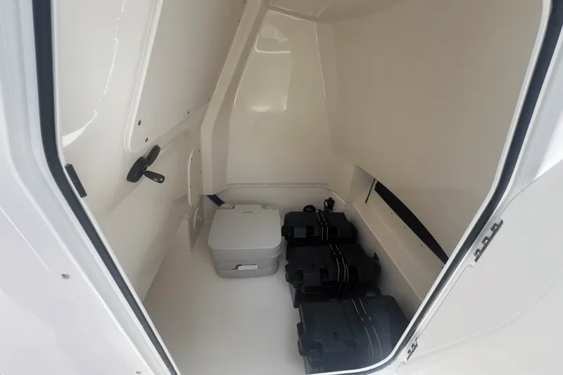 Slide: The Image of Boston Whaler 250 Dauntless 2025 - 17