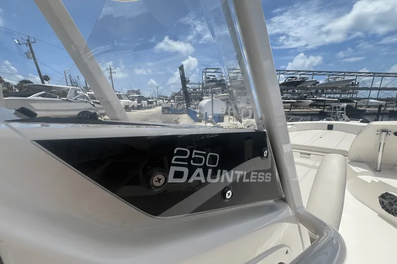 Slide: The Image of Boston Whaler 250 Dauntless 2025 - 18