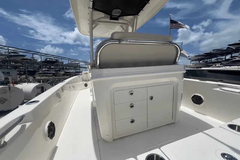 Slide: The Image of Boston Whaler 250 Dauntless 2025 - 20