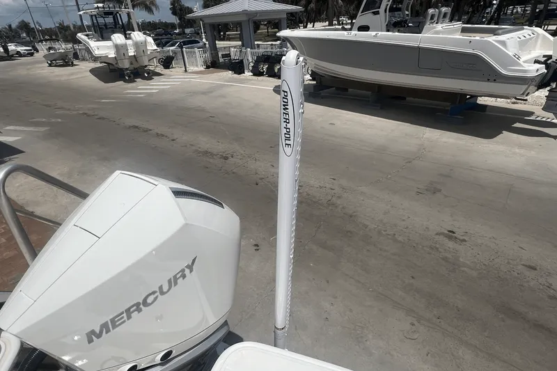 Slide: The Image of Boston Whaler 250 Dauntless 2025 - 24