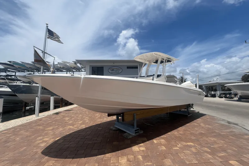 Slide: The Image of Boston Whaler 250 Dauntless 2025 - 26