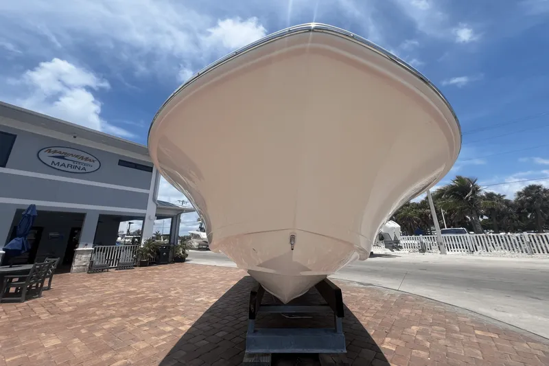 Slide: The Image of Boston Whaler 250 Dauntless 2025 - 27