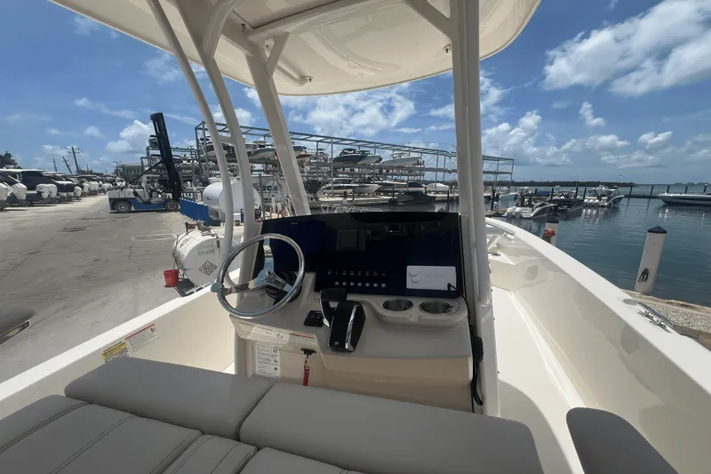 Slide: The Image of Boston Whaler 250 Dauntless 2025 - 31