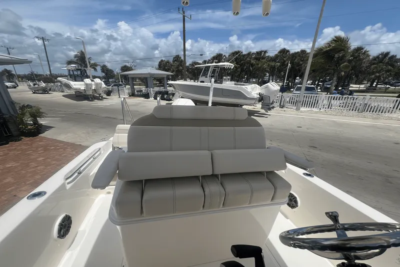 Slide: The Image of Boston Whaler 250 Dauntless 2025 - 36