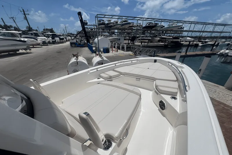 Slide: The Image of Boston Whaler 250 Dauntless 2025 - 37