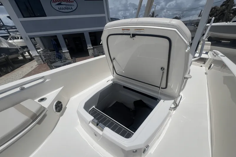 Slide: The Image of Boston Whaler 250 Dauntless 2025 - 6
