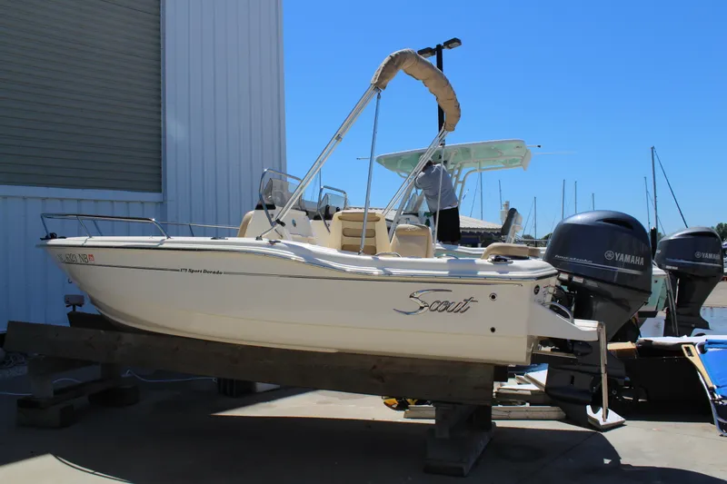 The Image of Scout 175 DORADO 2023 - 0