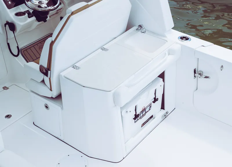 Slide: The Image of EdgeWater 262CX 2024 - 10