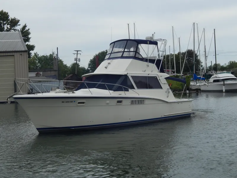 The Image of 1972 Hatteras 38 Convertible yacht docked in a marina, surrounded by other boats. - 1
