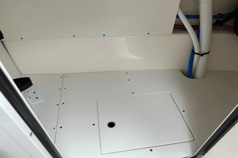 Slide: The Image of Sea Ray SDX 250 Outboard 2025 - 52