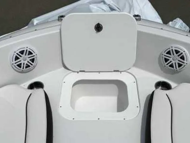 Slide: The Image of Stingray 191DC 2026 - 3