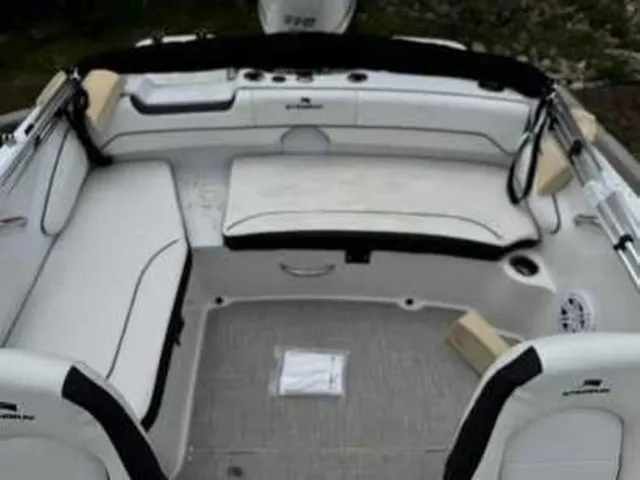 Slide: The Image of Stingray 191DC 2026 - 7