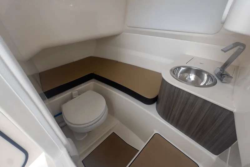 Slide: The Image of Sea Ray SDX 250 Outboard 2025 - 16