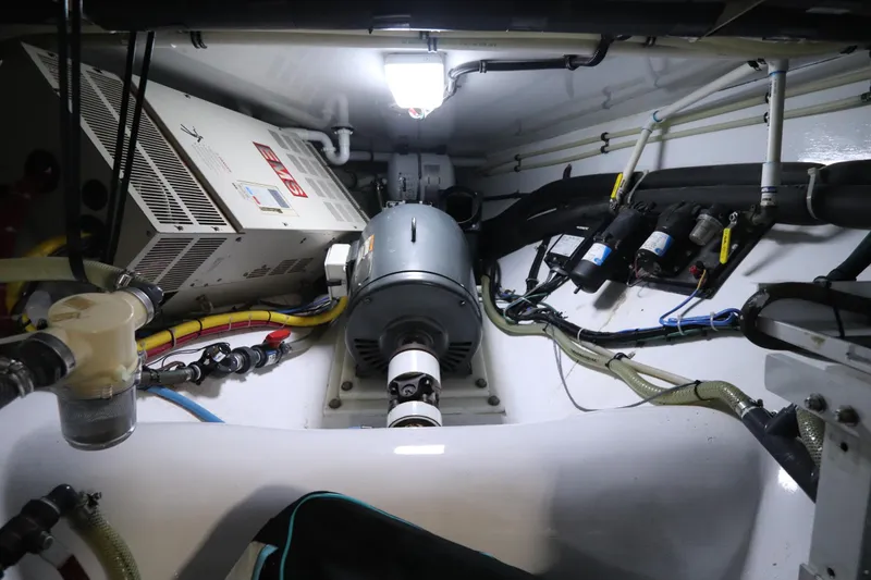 Slide: The Image of Buddy Davis 74 2002 - 52