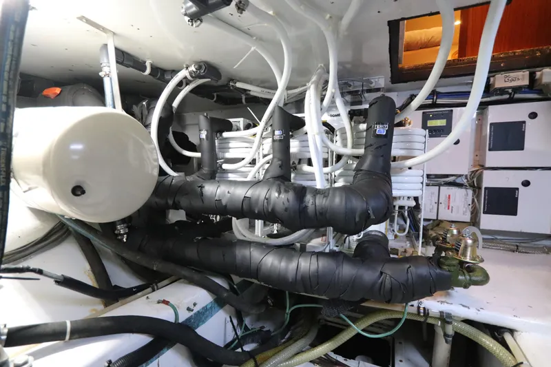 Slide: The Image of Buddy Davis 74 2002 - 53