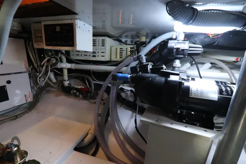 Slide: The Image of Buddy Davis 74 2002 - 54