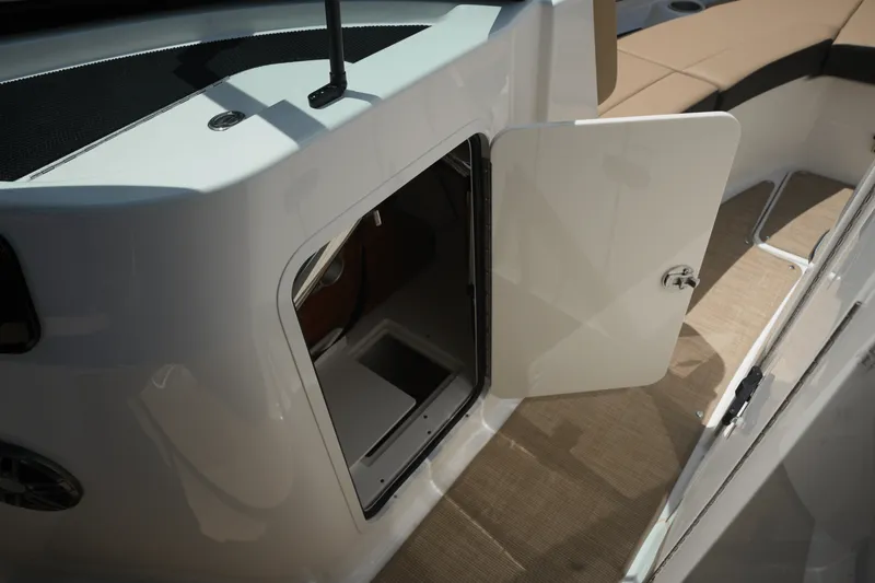 Slide: The Image of Sea Ray 250 SDX 2025 - 17