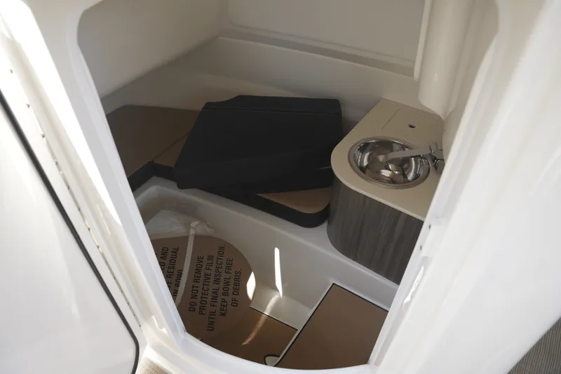 Slide: The Image of Sea Ray 250 SDX 2025 - 22