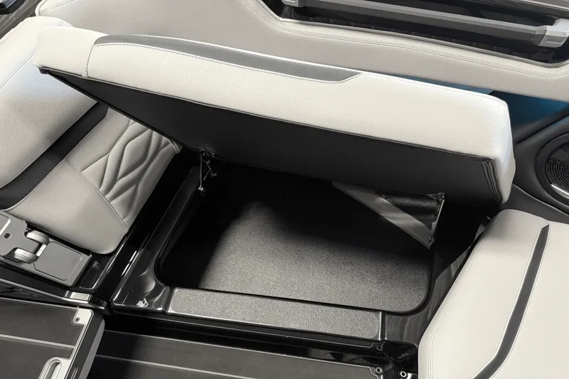 Slide: The Image of Supra SA 2025 - 100