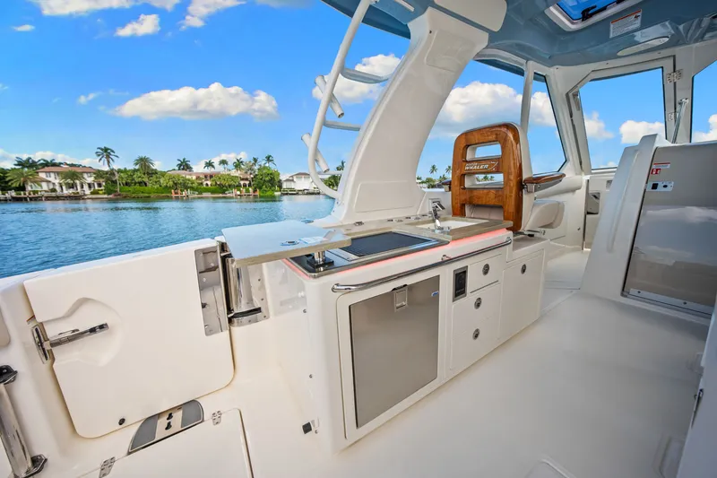 Slide: The Image of Boston Whaler 380 Realm 2026 - 48