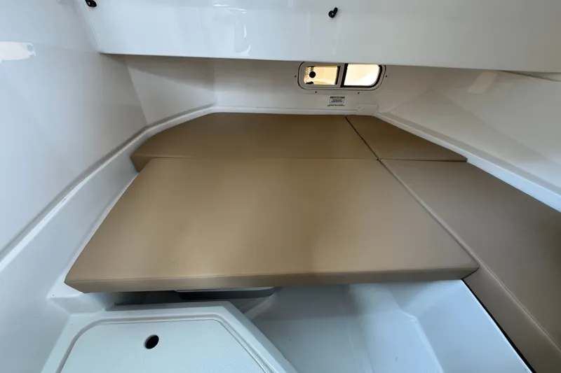 Slide: The Image of Sea Ray SDX 250 2023 - 19