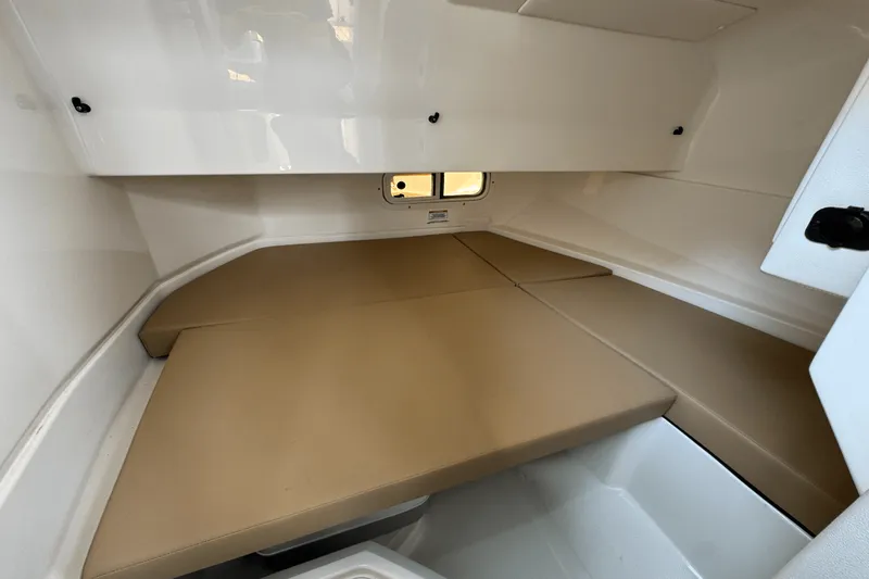 Slide: The Image of Sea Ray SDX 250 2023 - 20