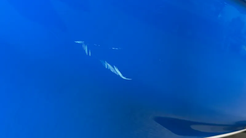 Slide: The Image of Yamaha AR210 2019 - 61