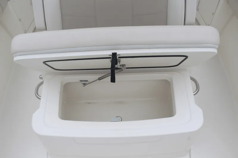 Slide: The Image of Boston Whaler 250 OUTRAGE 2020 - 20