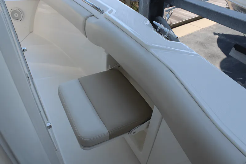 Slide: The Image of Boston Whaler 250 OUTRAGE 2020 - 29