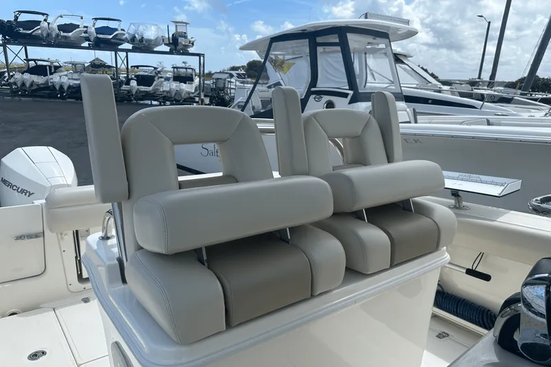 Slide: The Image of Boston Whaler 250 OUTRAGE 2020 - 8