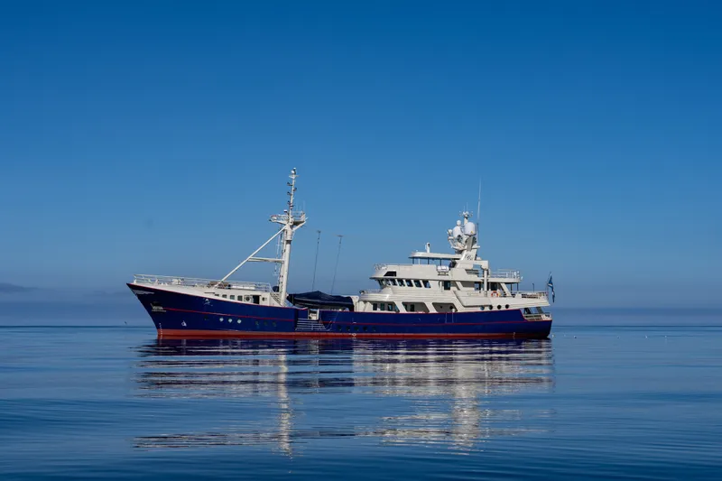 Slide: The Image of Damen Maaskant 150 2023 - 41