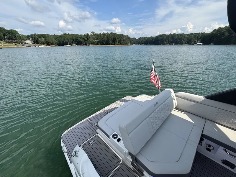 Slide: The Image of Sea Ray SDX 250 2022 - 21