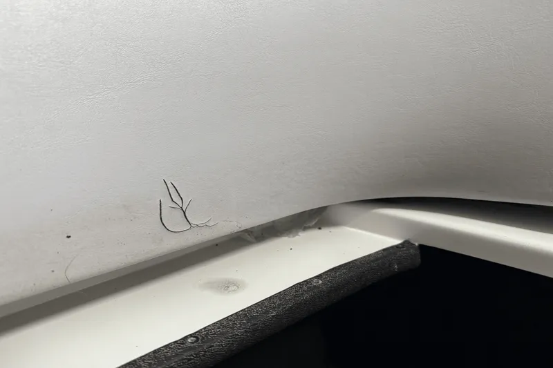 Slide: The Image of Centurion AVALANCHE 2008 - 32