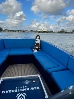 Slide: The Image of Dog on Lekker Damsko 750 boat enjoying scenic water view, 2018 model. - 13