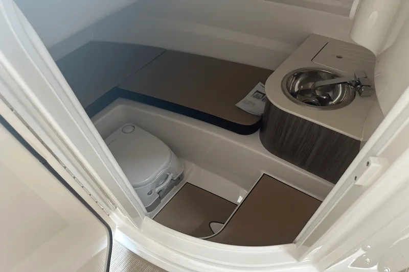 Slide: The Image of Sea Ray 250 SDX 2025 - 15