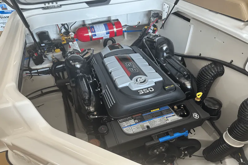 Slide: The Image of Sea Ray 250 SDX 2025 - 21