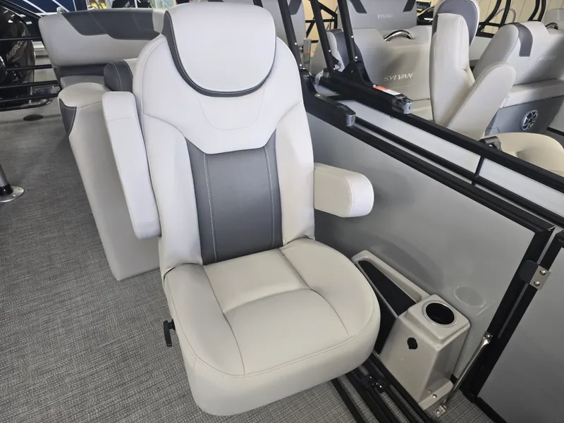 Slide: The Image of Sylvan L3 2025 - 70