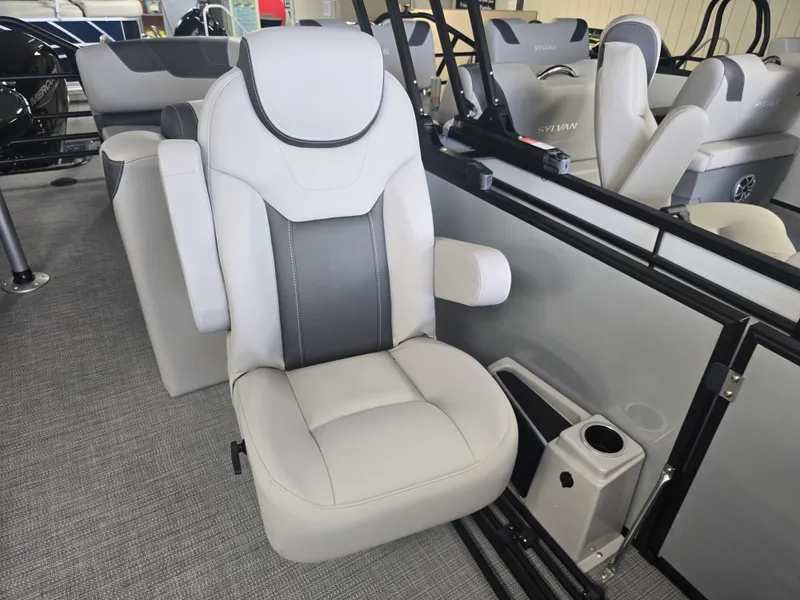 Slide: The Image of Sylvan L3 2025 - 71