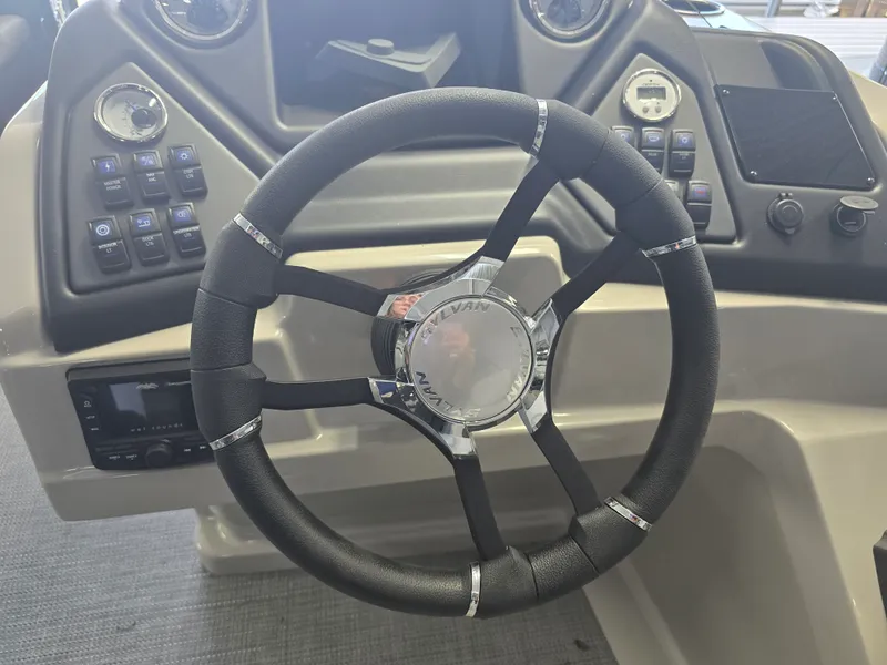 Slide: The Image of Sylvan L3 2025 - 78